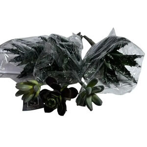 6 Various Artificial Succulents Faux Succulent Plants Home Garden Decor